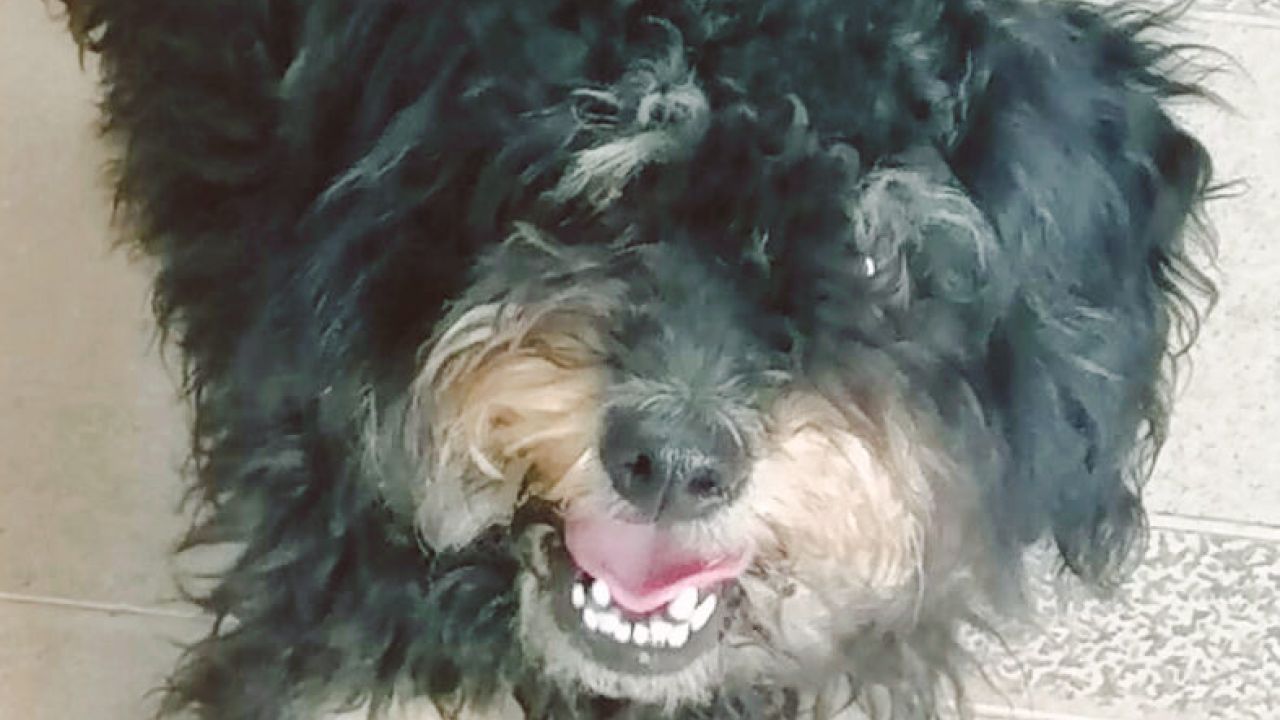 CHOUPI